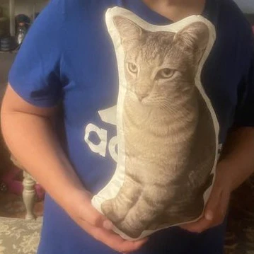 Turn Photos into Pillows - Image 10