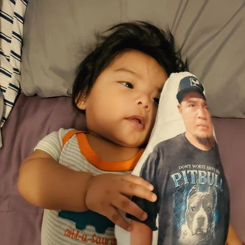 Turn Photos into Pillows - Image 4