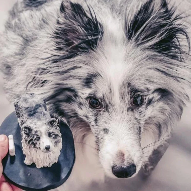 Turn Pet Photo into Statue - Image 6