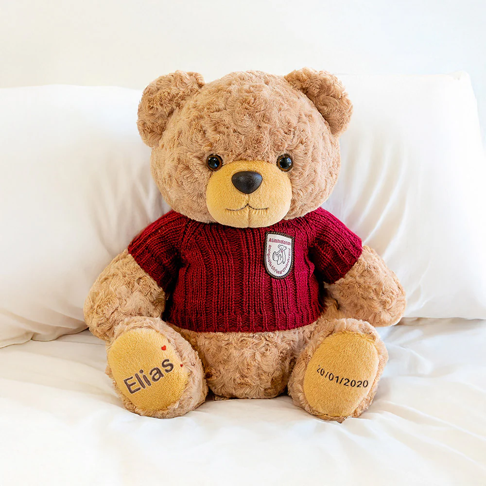 Personalized Birthday Teddy Bears - Image 9